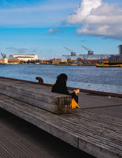 Østerbro or Nordhavn district of Copenhagen