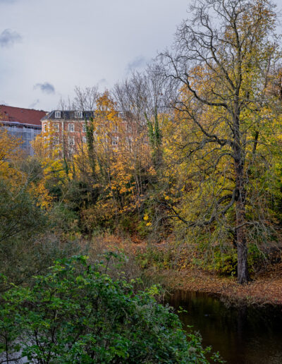 body of water surrounded by lush trees and a building in the background in Copehagen Denmark