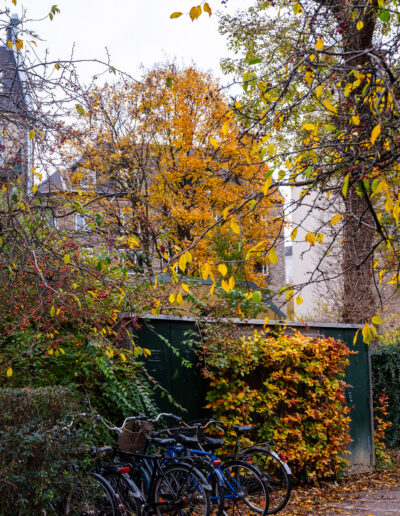 a scenic moment of autumn in a European city Copenhage Denmark known for its extensive cycling culture