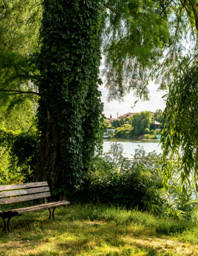 empty wooden park bench situated on the grassy bank of a calm river in Mogosoaia Romania