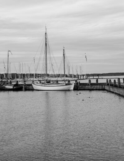 marina or harbor with several sailboats and yachts docked along a wooden pier in Roskilde Denmark