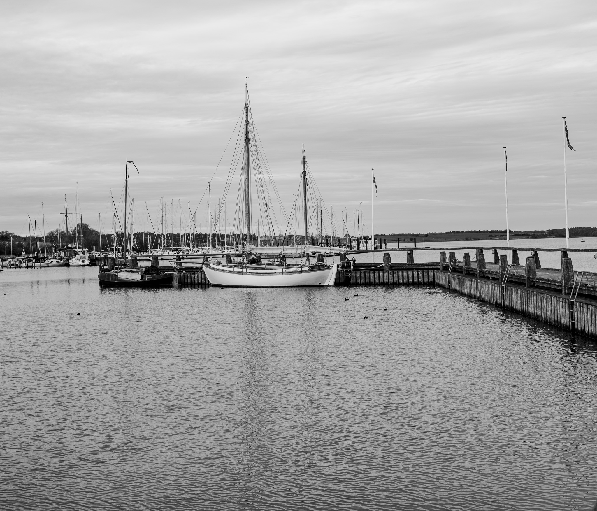 marina or harbor with several sailboats and yachts docked along a wooden pier in Roskilde Denmark