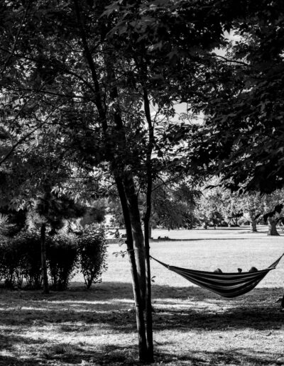 hammock is hung between trees, with people lounging inside in Mogosoaia Romania