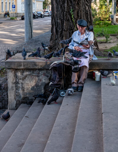 person sitting on a stone wall, surrounded by a large flock of pigeons in a city setting, seemingly feeding or interacting with them